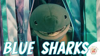 Blue Sharks Kids Song All About Sharks for Children Educational Animal Video for Kids Baby Music