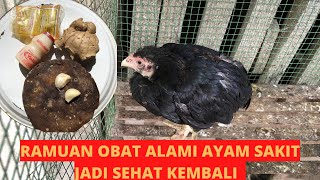 Ramuan Obat Alami Ayam,Tembolok Tidak Turun,Berak putih,Berak Hijau I dijamin sehat kembali