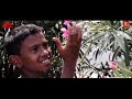 madhu madhi sourashtra shortfilm thokuluva films preethi kumar sourashtra shortfilm