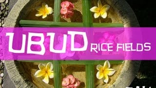 Ubud à Bali : Nos randonnées dans les rizières de Ubud