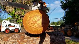 STIHL chainsaw FOR SALE MS 461 ported $900 O.B.O