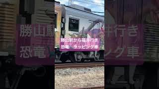 恐竜電車🦕【月風雫】#shorts .#恐竜.#えちてつ