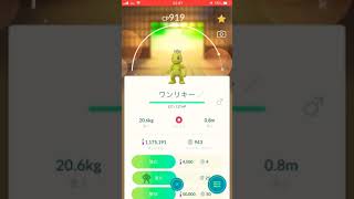 【ポケモンGO】色違いワンリキー‼︎進化‼︎技ガチャ‼︎グロウパンチは覚えません、、