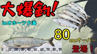 鮭釣り大爆釣！　沖まで一面鮭だらけ！！！