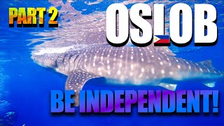 OSLOB AND WHALE SHARK EXPERIENCE PART TWO | Philippines Vlog