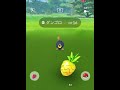 ポケモンgo ダンゴロのあめ集め隊