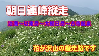 花の朝日連峰縦走、以東岳からの縦走路が最高です