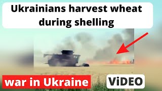 Russian occupiers deliberately shell and set fire to Ukrainian wheat fields