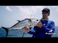 Crazy Kingfish Fishing, Barracuda Attack and Hammerhead