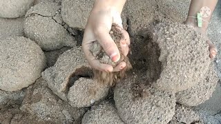 Gritty Sand Damp Bowls floor \u0026 💦 crumbling / @IPurpleAsmr143 / oddly satisfying ASMR Sleep Aid 😴 /