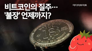 [토마토Pick!] 비트코인의 질주…'불장' 언제까지?