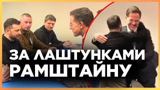 ЕКСКЛЮЗИВ! Зеленський НЕ ЗМІГ СТРИМАТИСЬ на зустрічі з Рютте! Президент СКАЗАВ ЦЕ Генсеку НАТО