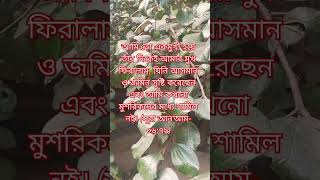 আমি তো একমুখী হয়ে তাঁর দিকেই আমার মুখ ফিরালাম, যিনি আসমান ও জমিন সৃষ্টি #music #arabic #cover #song