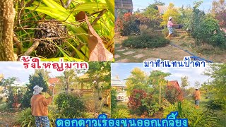 ป้าดาไม่ต้องห่วงต้นไม้นะเราดูแลให้\