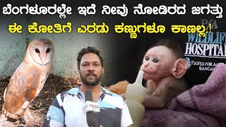 ಈ ಕೋತಿಗೆ ಎರಡು ಕಣ್ಣುಗಳೂ ಕಾಣಲ್ಲ.! ಬೆಂಗಳೂರಲ್ಲೇ ಇದೆ ನೀವು ನೋಡಿರದ ಜಗತ್ತು | People For Animals