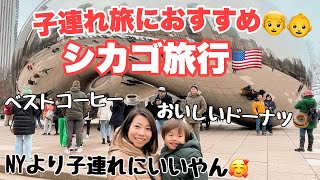 【激寒】冬のアメリカ・シカゴ子連れ旅行🇺🇸レンタカーで巡るダウンタウン観光地