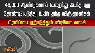 46,000 ஆண்டுகளாய் உறைந்து கிடந்த புழு, தோண்டியெடுத்து உயிர் தந்த விஞ்ஞானிகள் | 46,000-year-old worms