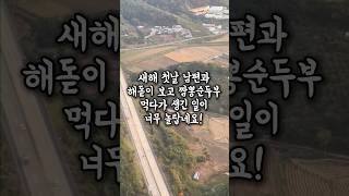 남편이 짬뽕순두부를 먹고 40만원을 낸 이유