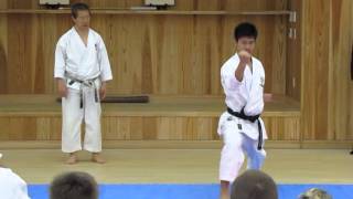 Arimoto-sensei demonstrates nidan-geri in kata Kanku-dai