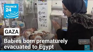 Babies born prematurely in Gaza have been evacuated to Egypt • FRANCE 24 English