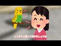 【特別版】セキセイインコが本当の家族だと思ってる人に見せる６つの仕草