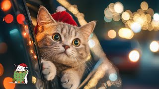 Magical Music for Cats - Music for Cat Relaxation - Soothing Tunes for Stress-Free Felines