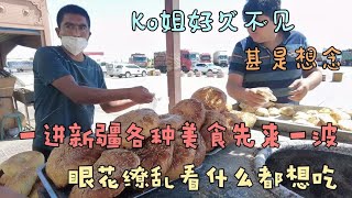 房车自驾3300公里横穿内蒙进入新疆，房车小队迎来新队员KO，正式开启美好之旅【万一有1天】