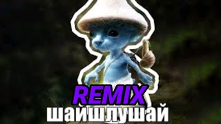 Мелодия шайлушай (REMIX) #шайлушай #remix #music