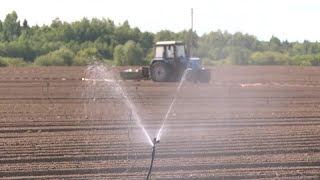 Les sécheresse menace les récoltes et les forêts : reportage en Lituanie et en Pologne