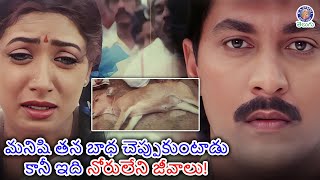 మనిషి తన బాధ చెప్పుకుంటాడు కానీ ఇది నోరులేని జీవాలు! | Aamani \u0026 Vinod Kumar - Animal Life Matters?