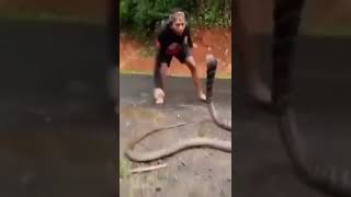 Catch Snake by Hand || Can you grab a snake with your hands?