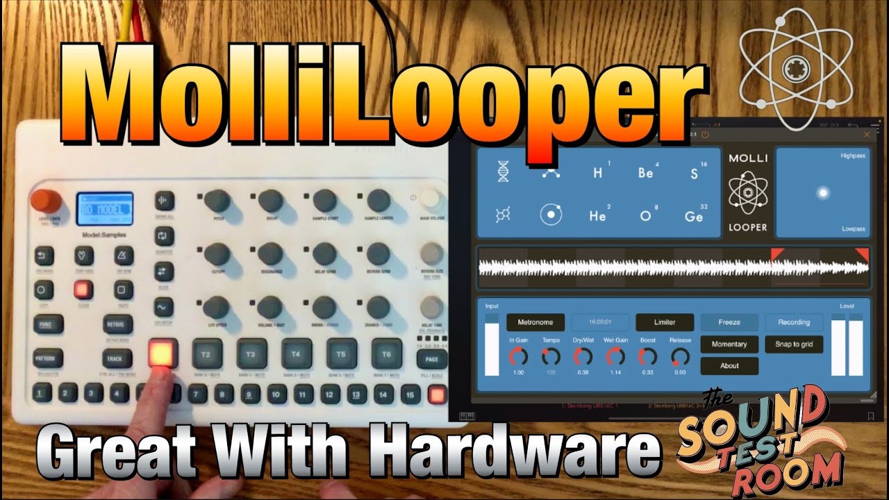 MolliLooper - The Looper That Never Forgets - Works Great With Your ...