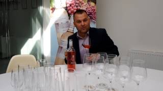 MERLOT rosé 2016 pozdní sběr