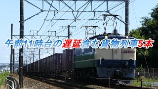 JR貨物 2023/09/16 遅延5087レ含む貨物列車5本 舞阪ストレート爆走