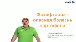 Фитофтороз — опасная болезнь картофеля!