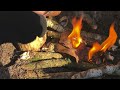 super sauvage© bushcraft lancer de hache feu de camp froissartage