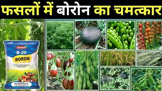 फसलों पर बोरोन के चमत्कार ।। बोरोन का फसलों में महत्व ।। Boron 20% ।। Boron Fertilizer ।। बोरोन खाद