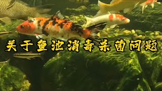 关于鱼池消毒杀菌问题