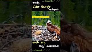 ಅವರು ಮಾಡಿದ ಕರ್ಮವನ್ನು ಅವರೇ ತಿರಸಬೇಕು        ..... ಕೆ ನಾಕರವೇ 🖋️🖋️🖋️