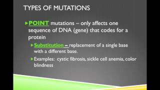 Unit 7 Video 6 Mutations