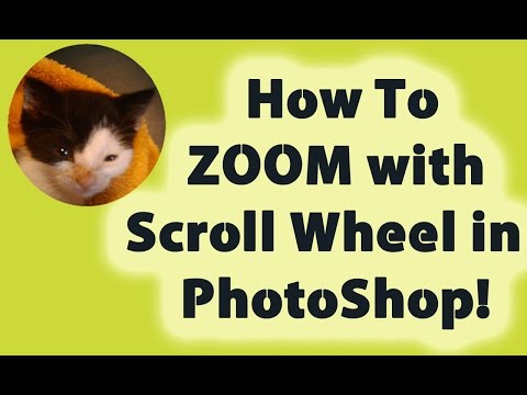 How To ZOOM with Your Scroll Wheel in Photoshop! How To ZOOM with Your Scroll Wheel in Photoshop!