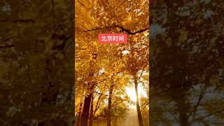 #Chinese learning  Beijing time  北京时间 时间 =time. gave me a like to learn Chinese for free.