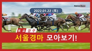 2022.01.22 토요 서울경마 전체 모아보기(재업)