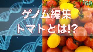 【#69】ゲノム編集トマトについて!ゲノム編集とは!? ゲノム編集は危険なのか!?