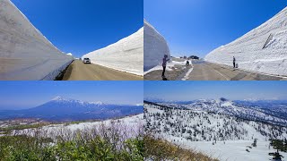 [ 4K60P ] 車載動画:雪の回廊「八幡平アスピーテライン」\