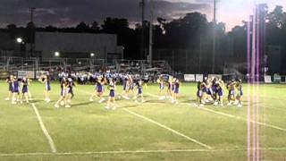 DSPMS cheerleading 2011