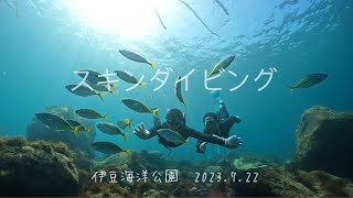 2023.7.22 伊豆海洋公園スキンダイビング