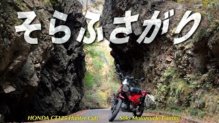 【HONDA CT125ハンターカブ】空が塞がれている場所まで行ってみた　Chinematics 4K