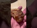 Carnelian agates!#carnelian #shorts #youtubeshorts #agate #rockhound  #gem #naturalbeauty #treasure