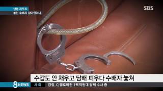 경찰이 놓친 수배자 잡았는데…체포될 처치 / SBS